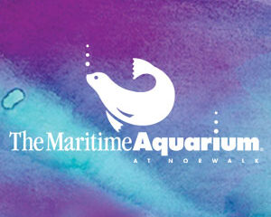 Maritime Aquarium Annual Gala